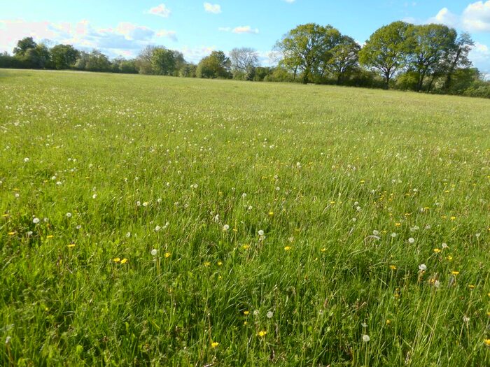 Land For Sale In Melverley, Oswestry, SY10