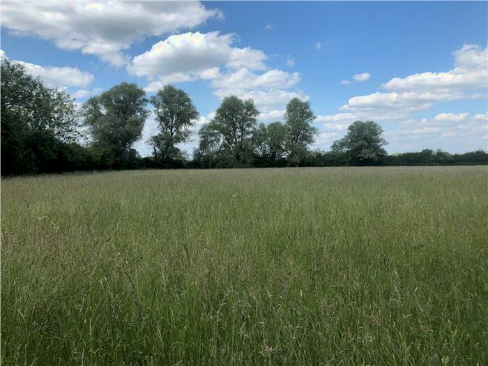 Farm Land For Sale In . Hectares (. Acres) Of Pasture Land, Fen Lane