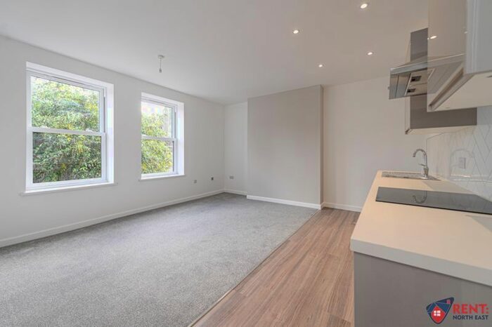 1 Bedroom Flat To Rent In St. Albans Villas, Queen Victoria Street, Pelaw, Gateshead, NE10