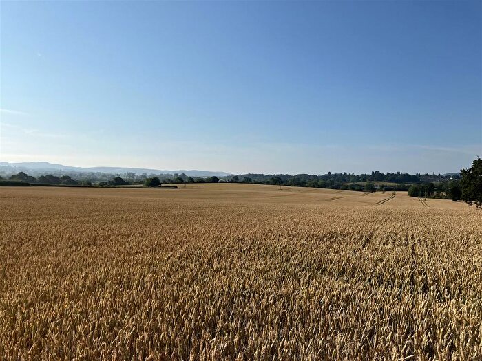 Farm For Sale In Roman Road, Burcott, Hereford, HR1