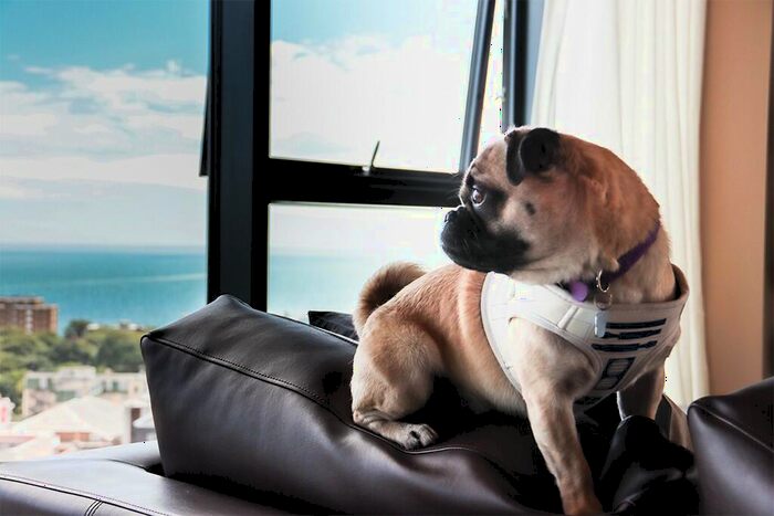 2 Bedroom Apartment To Rent In Holdenhurst Road, Bournemouth, Dorset, BH8