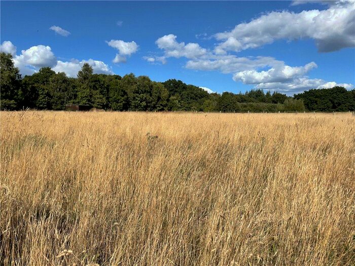 Land For Sale In Whitemoor, Holt, Wimborne, BH21