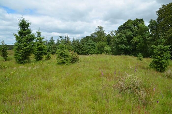 Land For Sale In Land At Craigview Wood, Glenlochar, Castle Douglas, DG7