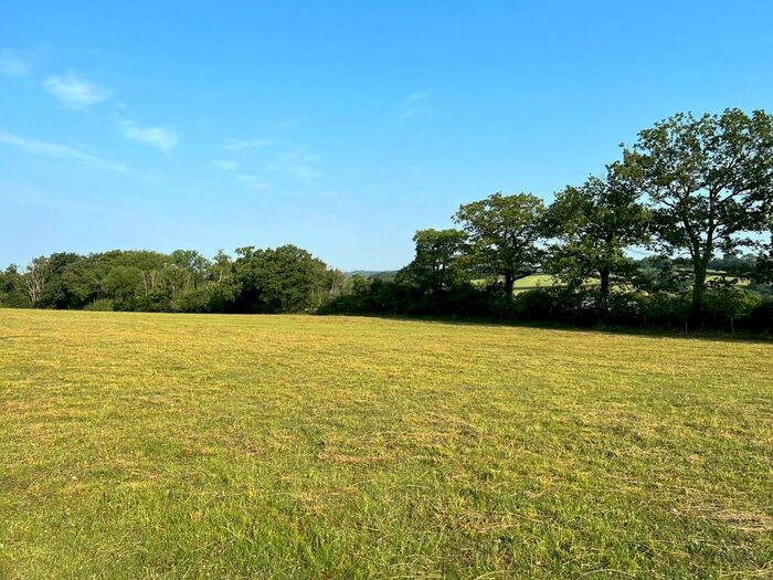 Land For Sale In Halwill, Beaworthy, Devon, EX21