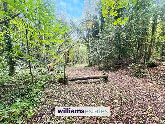 3 Bedroom Detached House For Sale In Furnace Road, Cefn-Y-Bedd, LL12