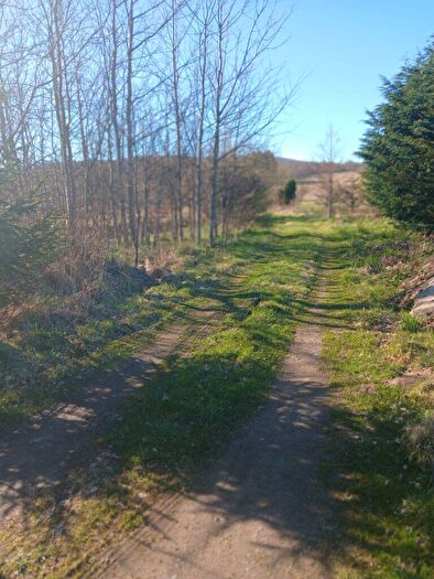 3 Bedroom Land For Sale In Plot At Muir Of Ruthrie, Aberlour, AB38