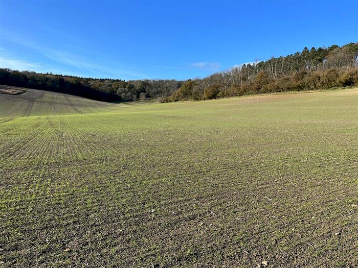 Land For Sale In Minterne Magna, Dorchester, Dorset, DT2