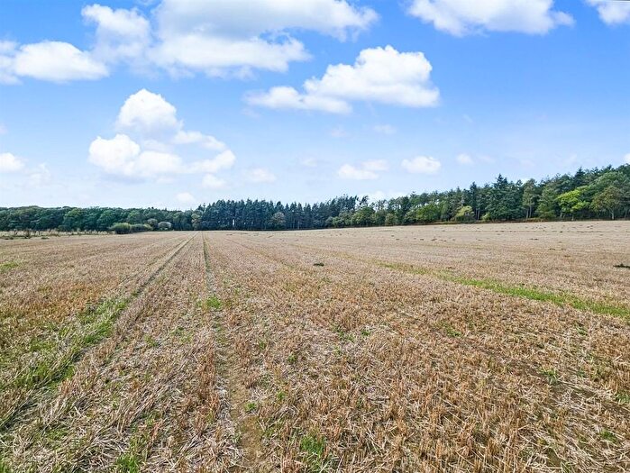 Land For Sale In Lucton, Leominster, HR6