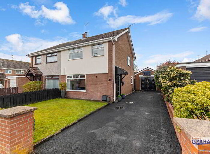 3 Bedroom Semi-Detached House For Sale In Fulmar Avenue, Lisburn, BT28