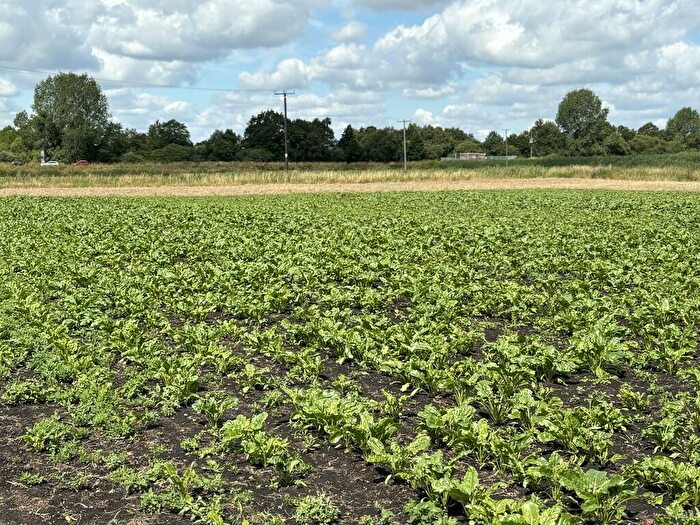 Farm Land For Sale In Chapel Road, Ramsey Heights, PE26