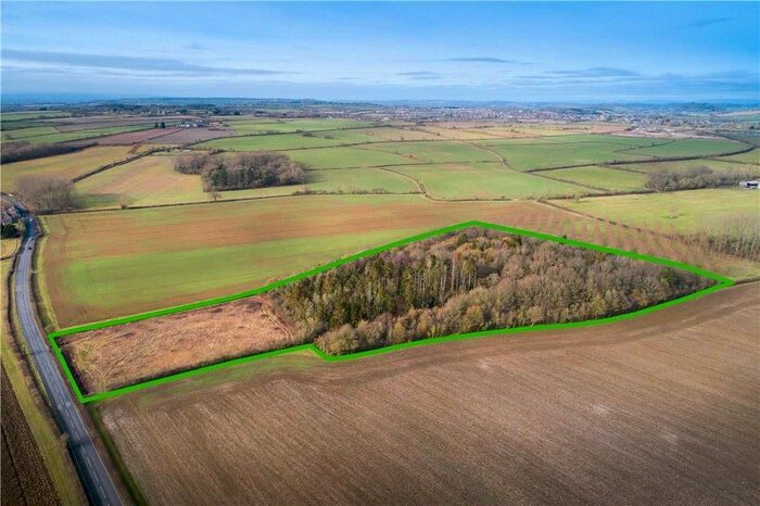 Land For Sale In Catsgore, Somerton, Somerset, TA11