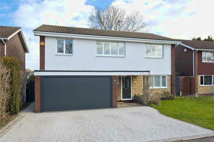 4 Bedroom Detached House To Rent In St Martins Drive, Walton-on-Thames, Surrey, KT12