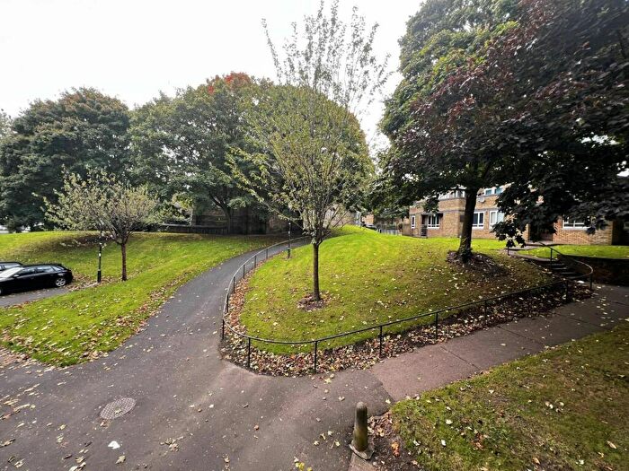 3 Bedroom Duplex To Rent In Avison Street, NE4