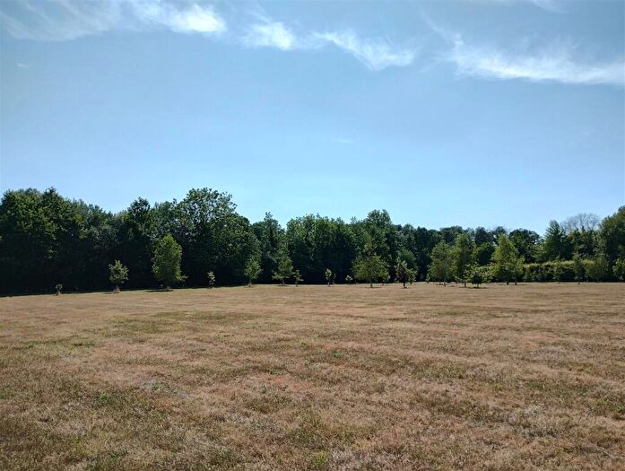 Land For Sale In Low Common Road, Bunwell, NR16