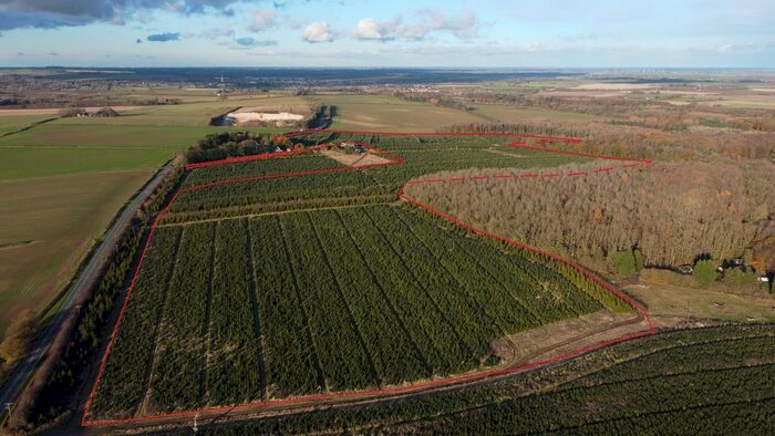 Farm For Sale In Home Farm, London Road, Tathwell, Louth, LN11