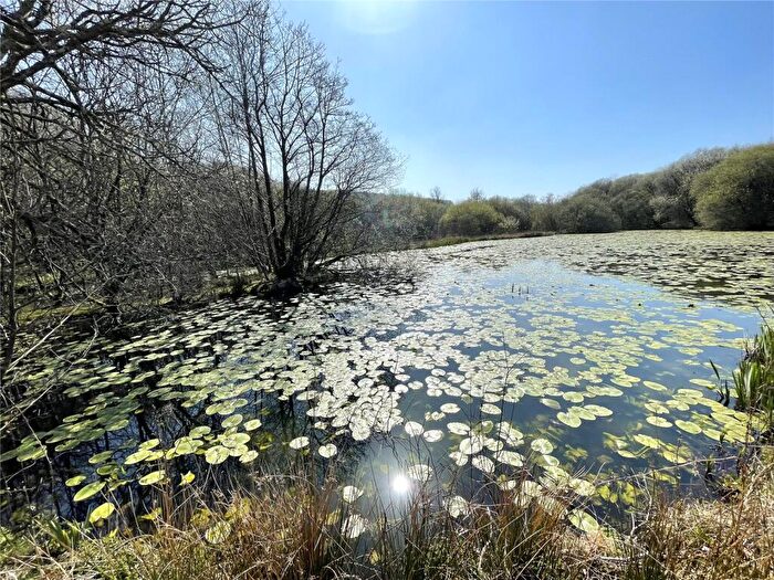 Property For Sale In Ty Ynys Fawr, Pontyates, Llanelli, SA15