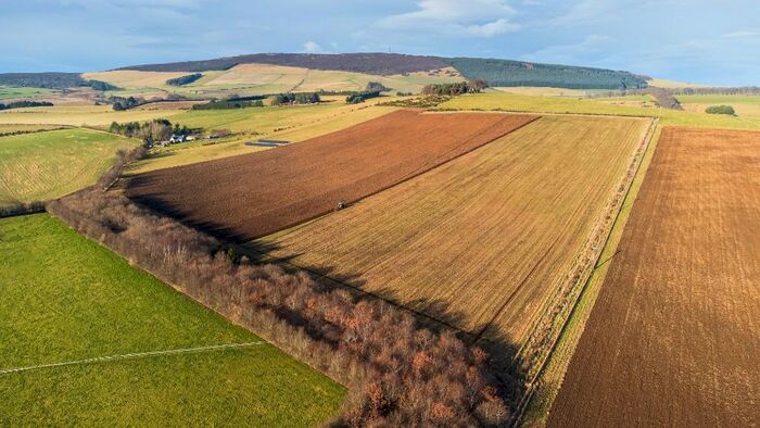 Farm Land For Sale In Lot - Land At Coldwells Farm, Insch, AB52