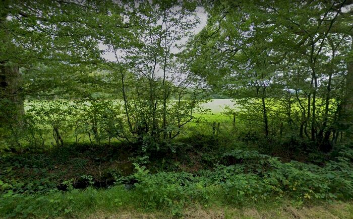 Land For Sale In Capel Road, Horsham, RH12