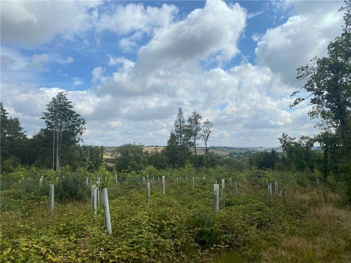 Land For Sale In Toller Porcorum, Dorchester, Dorset, DT2