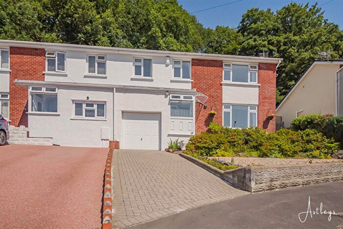 3 Bedroom Semi-Detached House For Sale In Bryncatwg, Cadoxton., SA10
