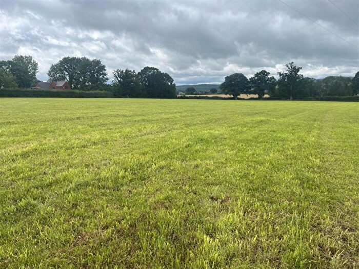 Land For Sale In Llanbedr Dc, LL15