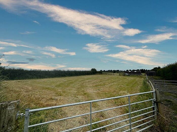 Equestrian Facility For Sale In Paddock For Sale In Crowle, DN17