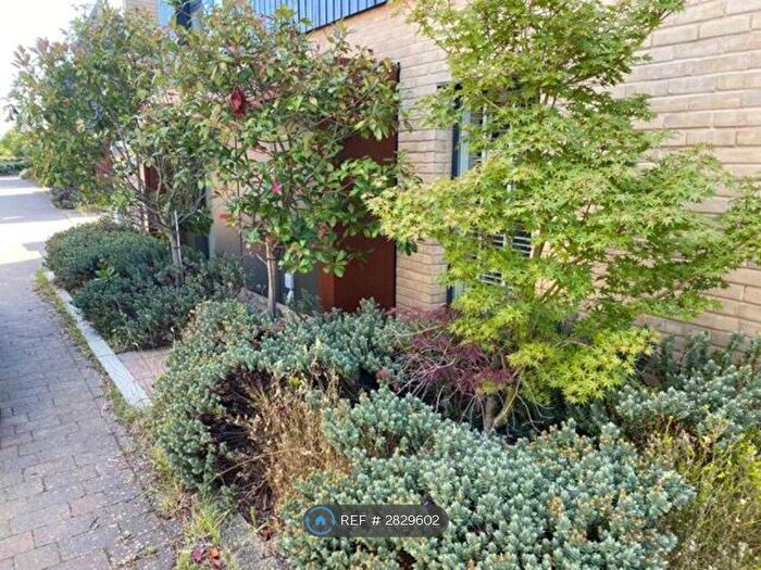 2 Bedroom Semi-Detached House To Rent In Elm Road, Cambridge, CB2
