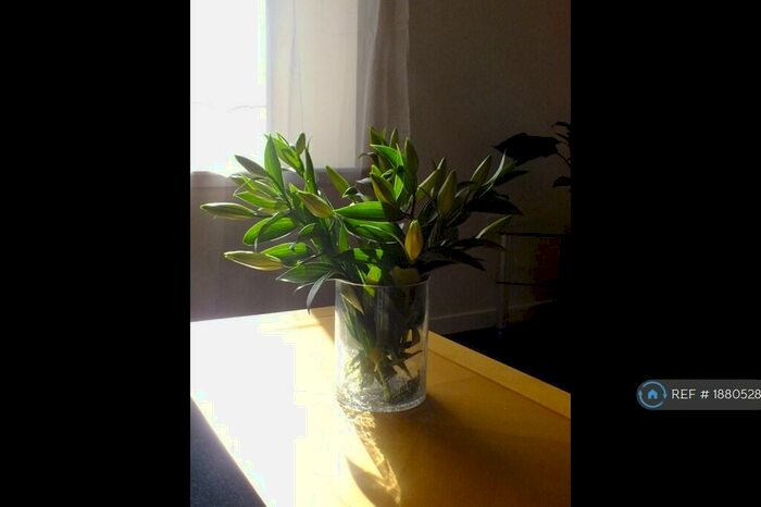 1 Bedroom Flat To Rent In John Knox Court, Aberdeen, AB24