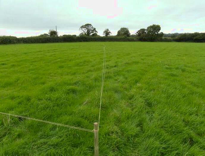 Land For Sale In Upper South Wraxall, Bradford-On-Avon, BA15