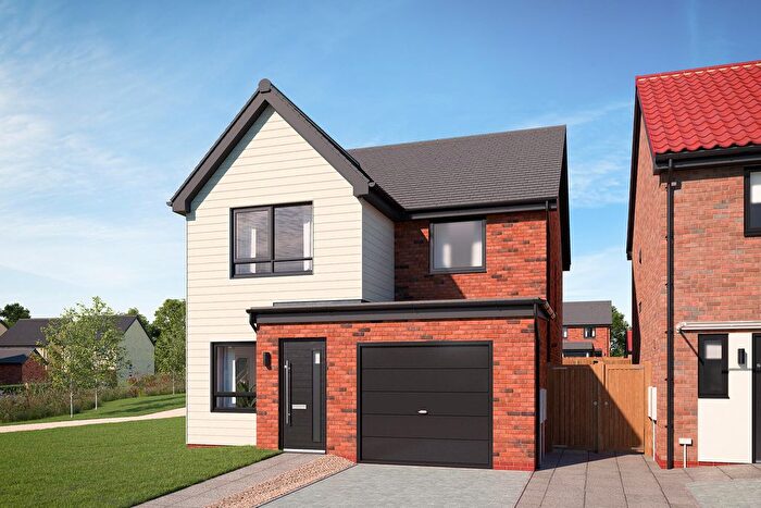 3 Bedroom Detached House For Sale In "The Begonia E Detached" At Durham, DH1
