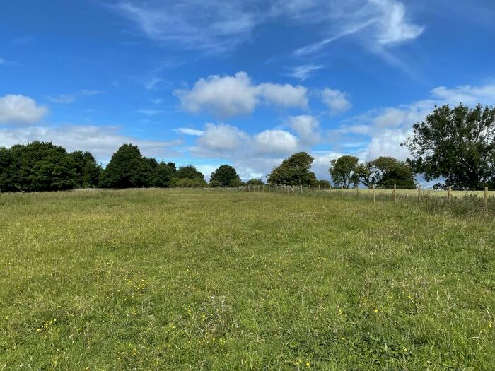 Farm Land For Sale In Old Eldon, DL4