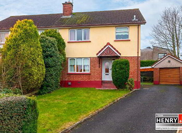 3 Bedroom Semi-Detached House For Sale In Aloha View, Dungannon, BT71