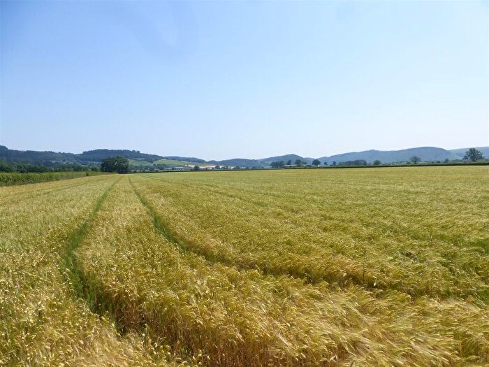 Land For Sale In Kinnerton, Presteigne, Powys, LD8