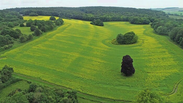 Land For Sale In Coombe Lane, West Meon, Petersfield, GU32