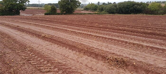 Land For Sale In Land South Of Luckham Farm, Milverton, Taunton Somerset, TA21