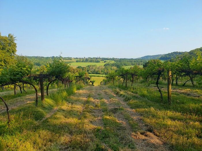 Land For Sale In Stream House Drive, Selborne, Alton, GU34