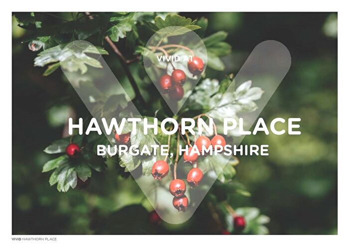 3 Bedroom Detached House For Sale In Burgate, Fordingbridge, Hampshire, SP6