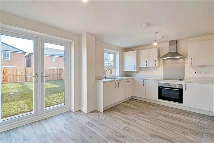 3 Bedroom Semi-Detached House To Rent In Bedroom Semi Detached House In Dandelion Drive, Cramlington, NE23