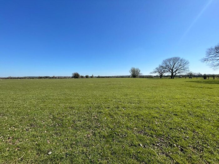 Farm Land To Rent In Grassland At Fen Farm, Pott Row, King's Lynn, Norfolk, PE32