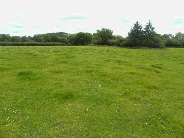 Farm Land For Sale In Maesycrugiau, Pencader, SA39