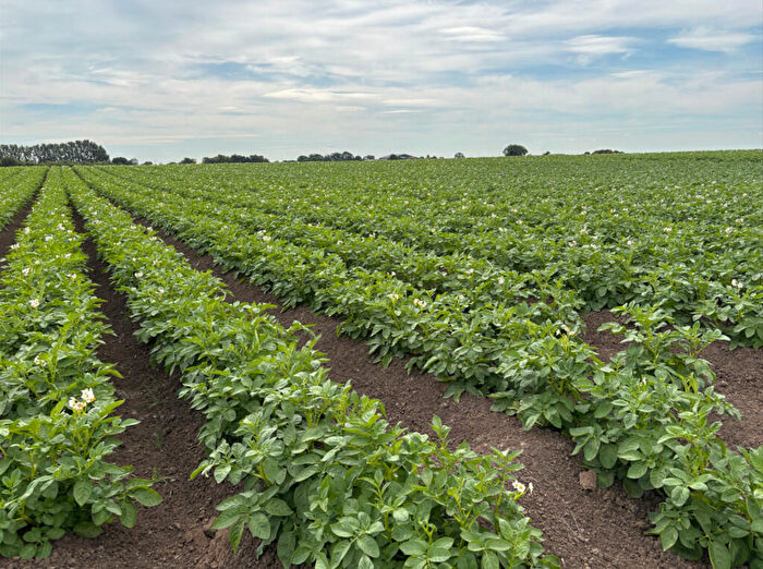 Farm Land For Sale In Whittlesey Road, Benwick, PE15