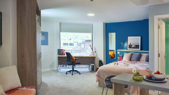 Studio To Rent In Nurtur House - Classic, S3