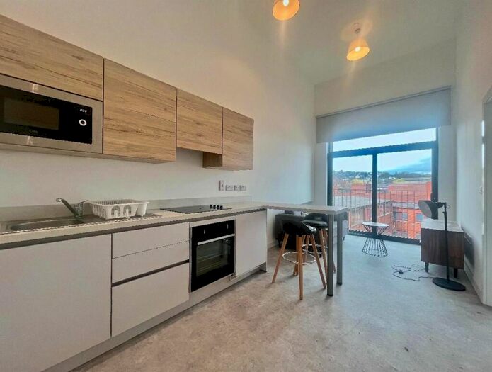 1 Bedroom Apartment To Rent In Birtin Works, Henry St, S3