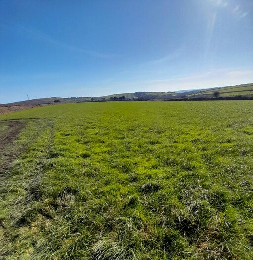 Land For Sale In Land At Polgear, Redruth, TR16