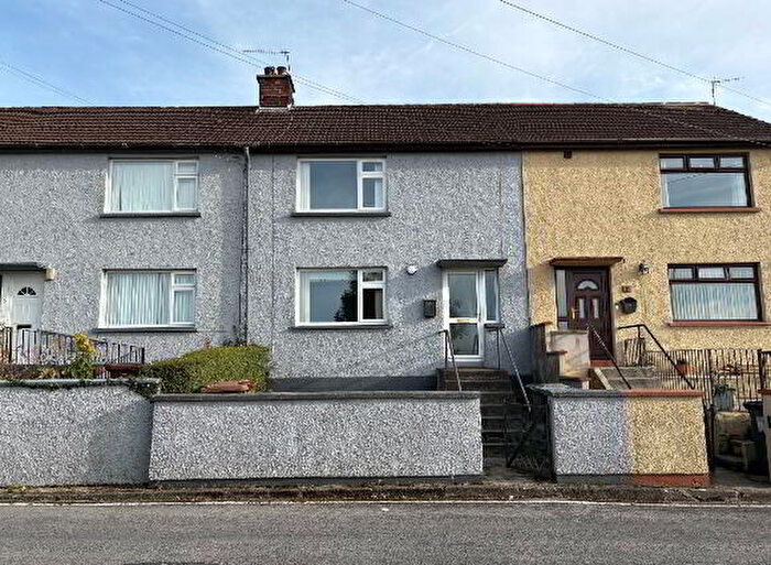 3 Bedroom Mid Terraced House To Rent In Ardpatrick Avenue, Downpatrick, BT30