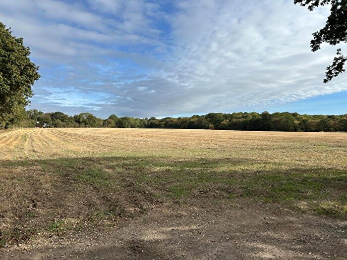 Farm Land For Sale In Hyde Chase, Danbury, CM3