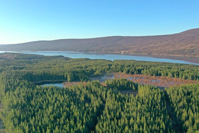 Land For Sale In Ghriama Wood, Lairg, Sutherland, IV27
