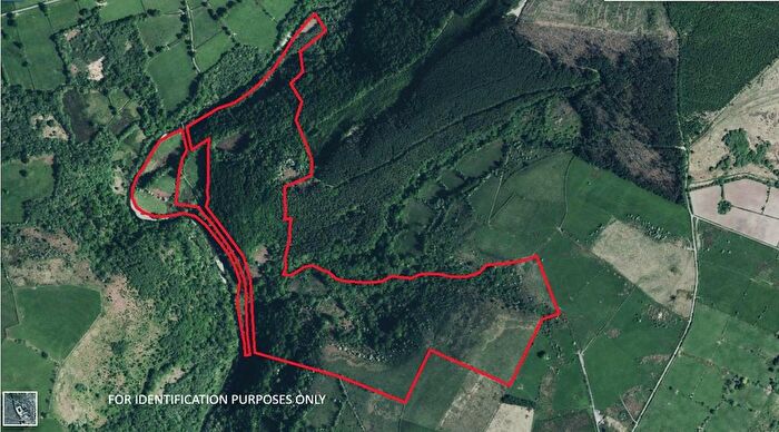 Farm To Rent In Llanfynydd, Carmarthen, SA32