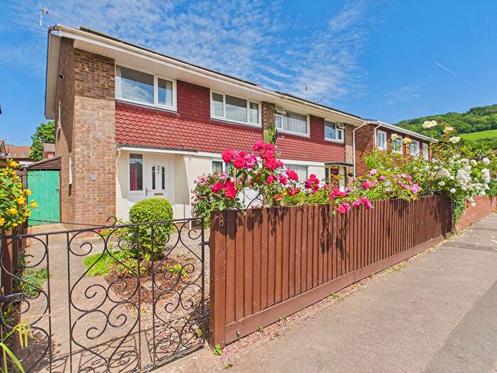 3 Bedroom Semi-Detached House For Sale In High Meadow, Monmouth, NP25