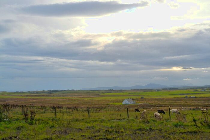 Land For Sale In Occumster, Lybster, KW3